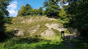 Heimansgroeve